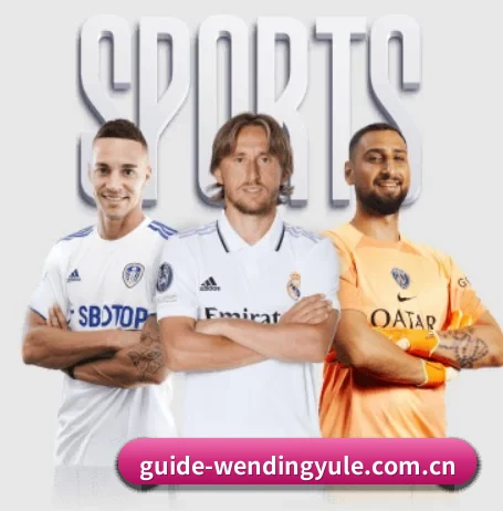 www.guide-wendingyule.com.cn APP